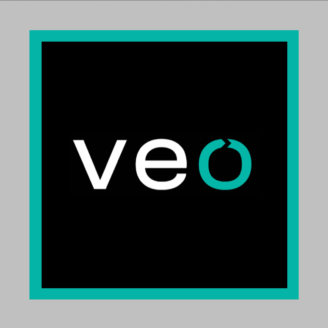 Veo logo